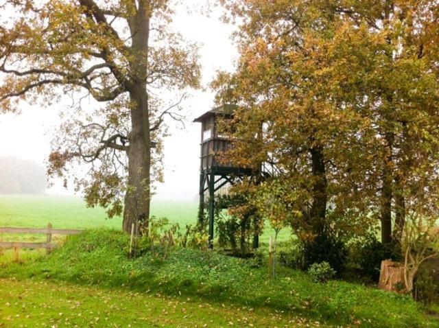 Landhotel Waldseiter Hof Bad Bentheim Dış mekan fotoğraf